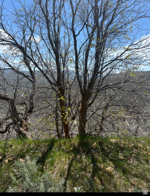 main property photo 77