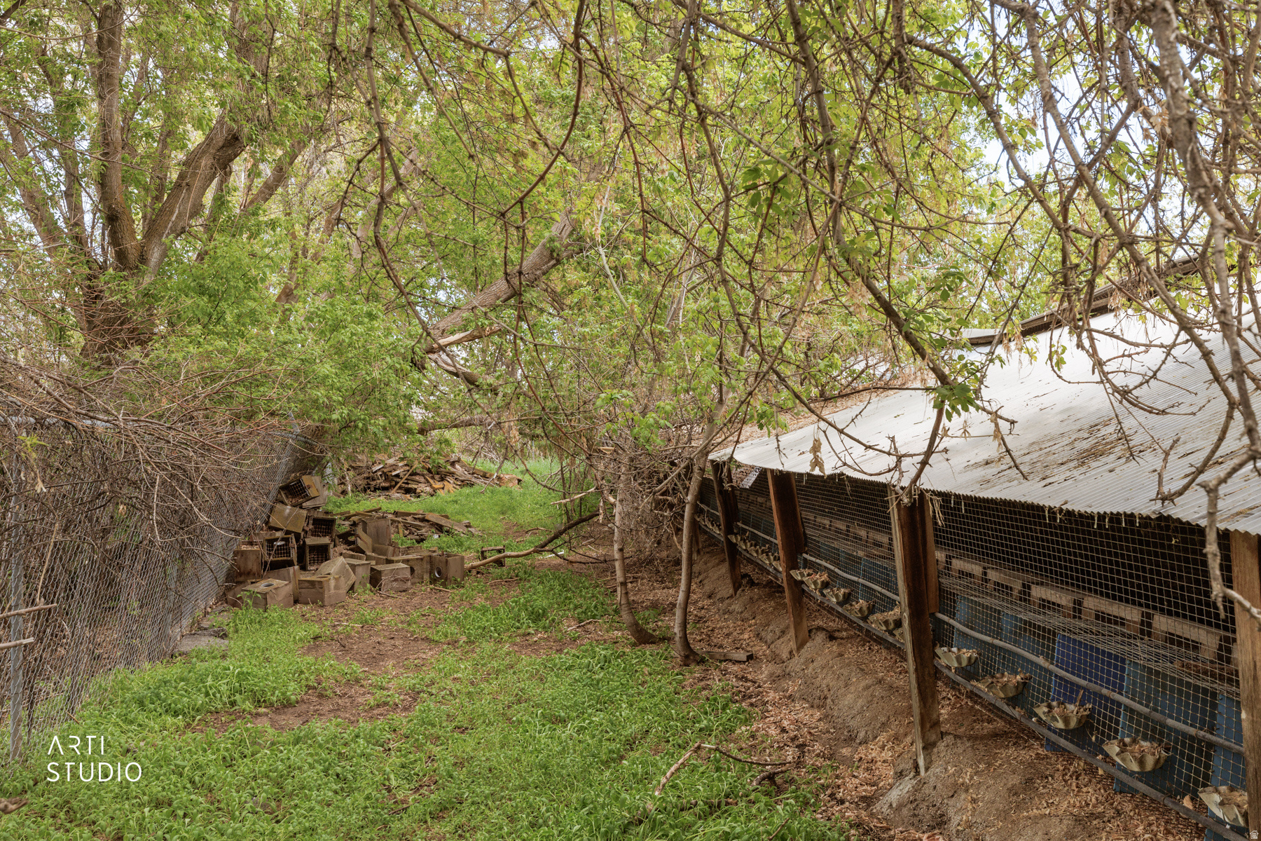 main property photo 21