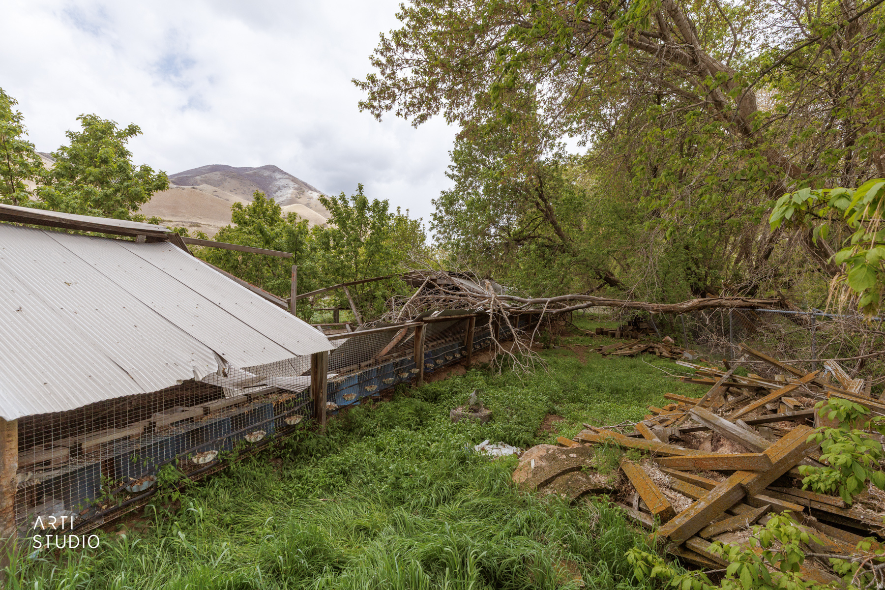 main property photo 23
