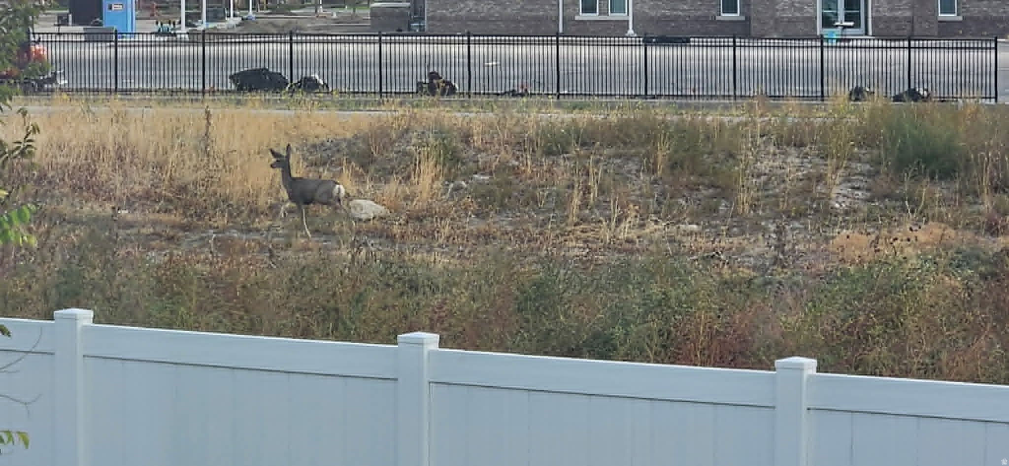 main property photo 62