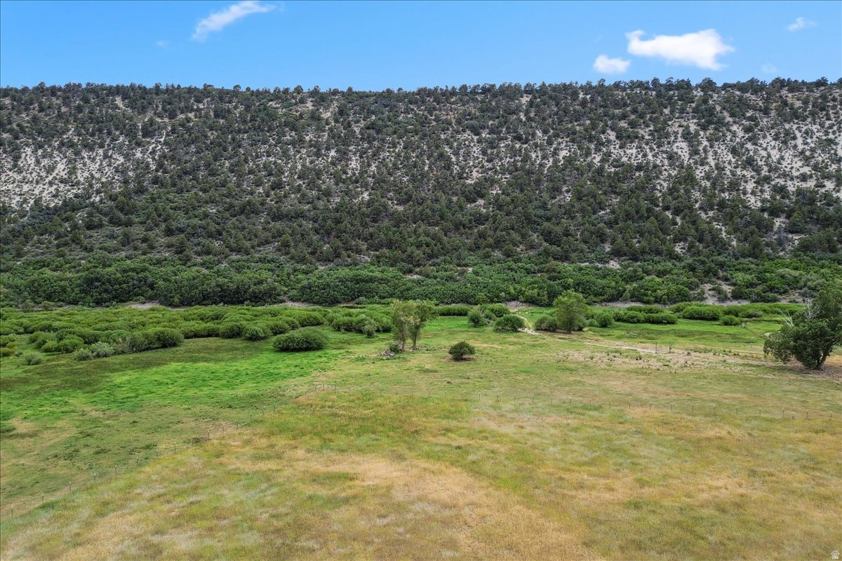 main property photo 62