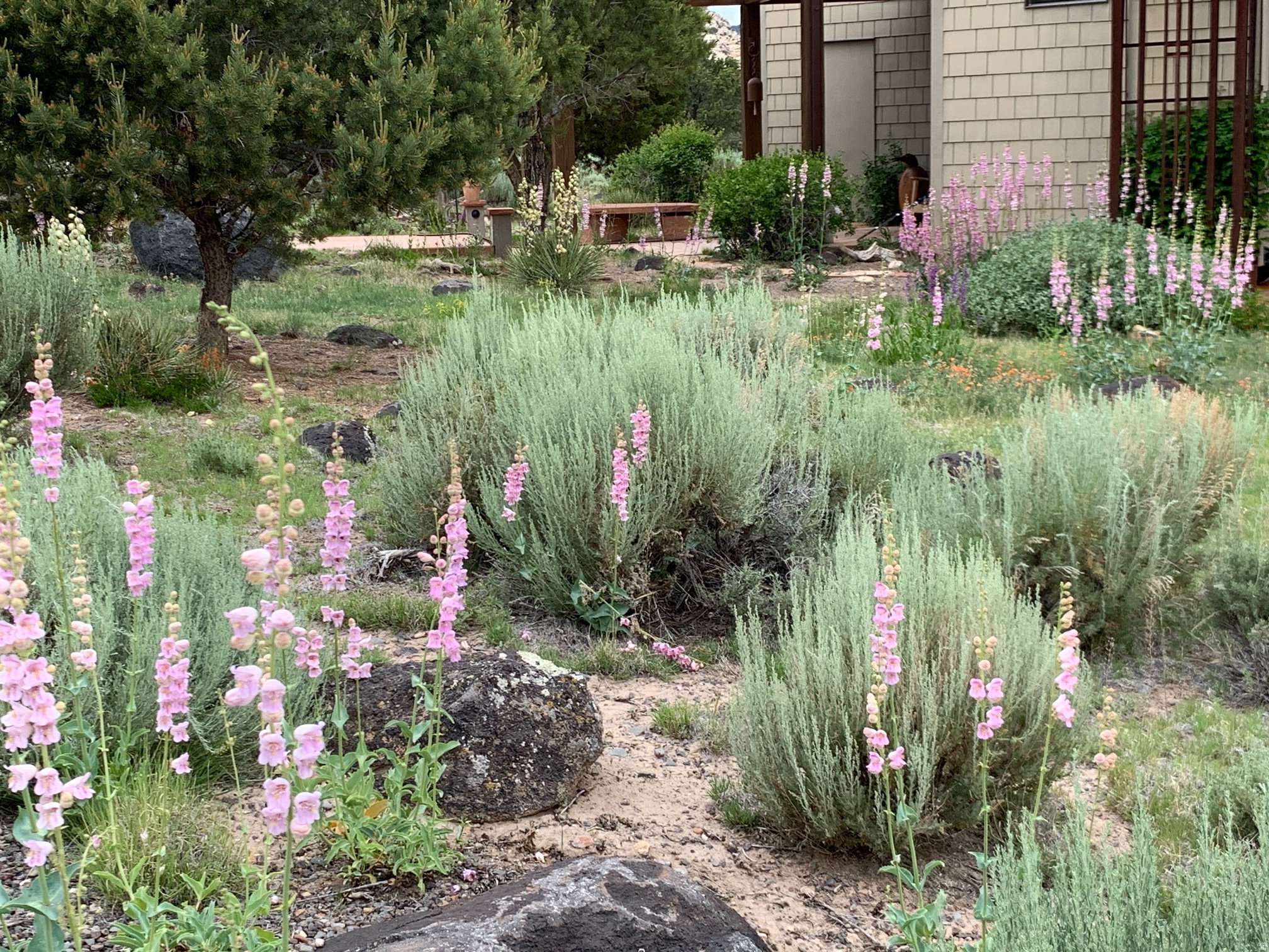 main property photo 49
