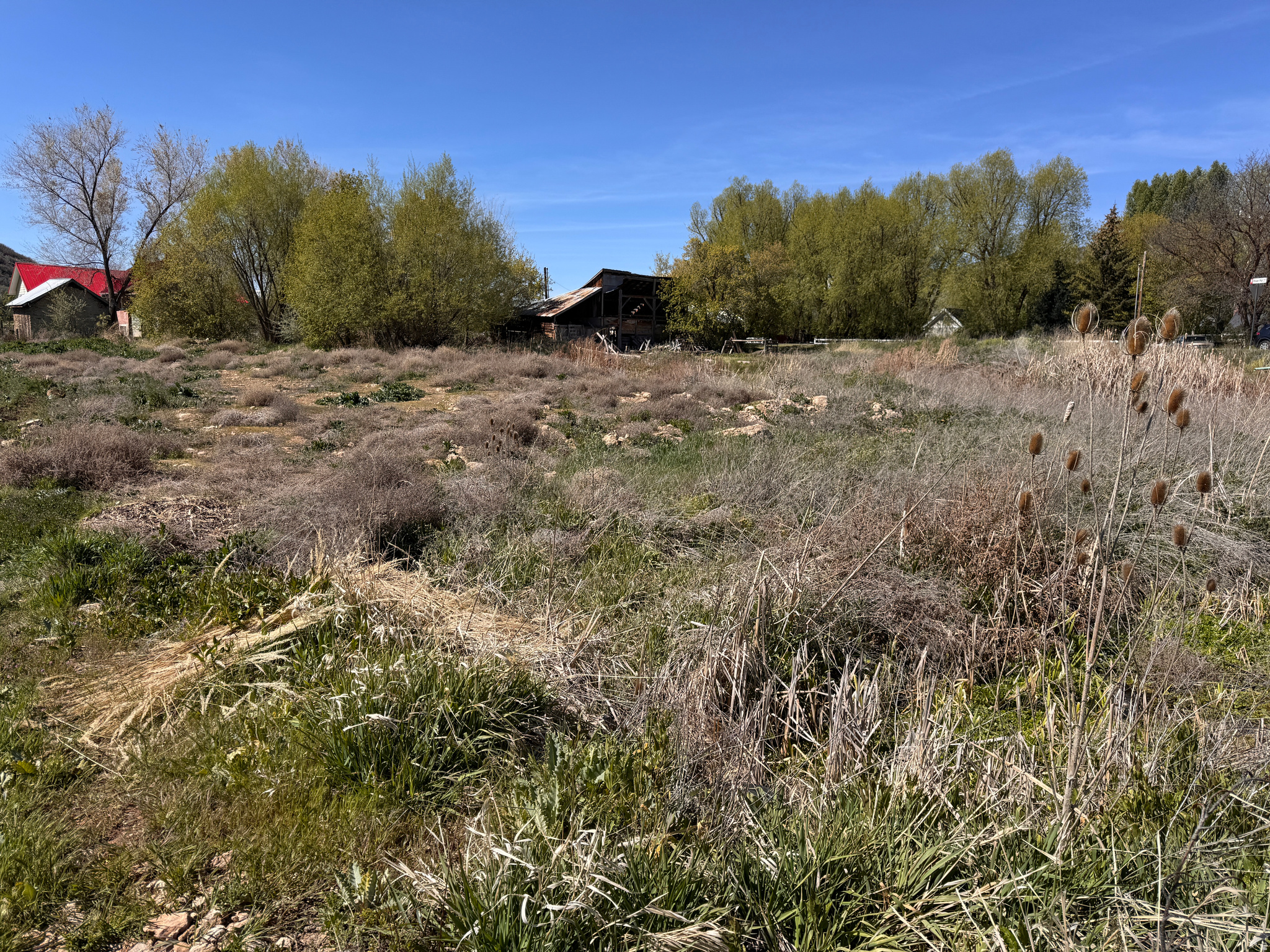 main property photo 5