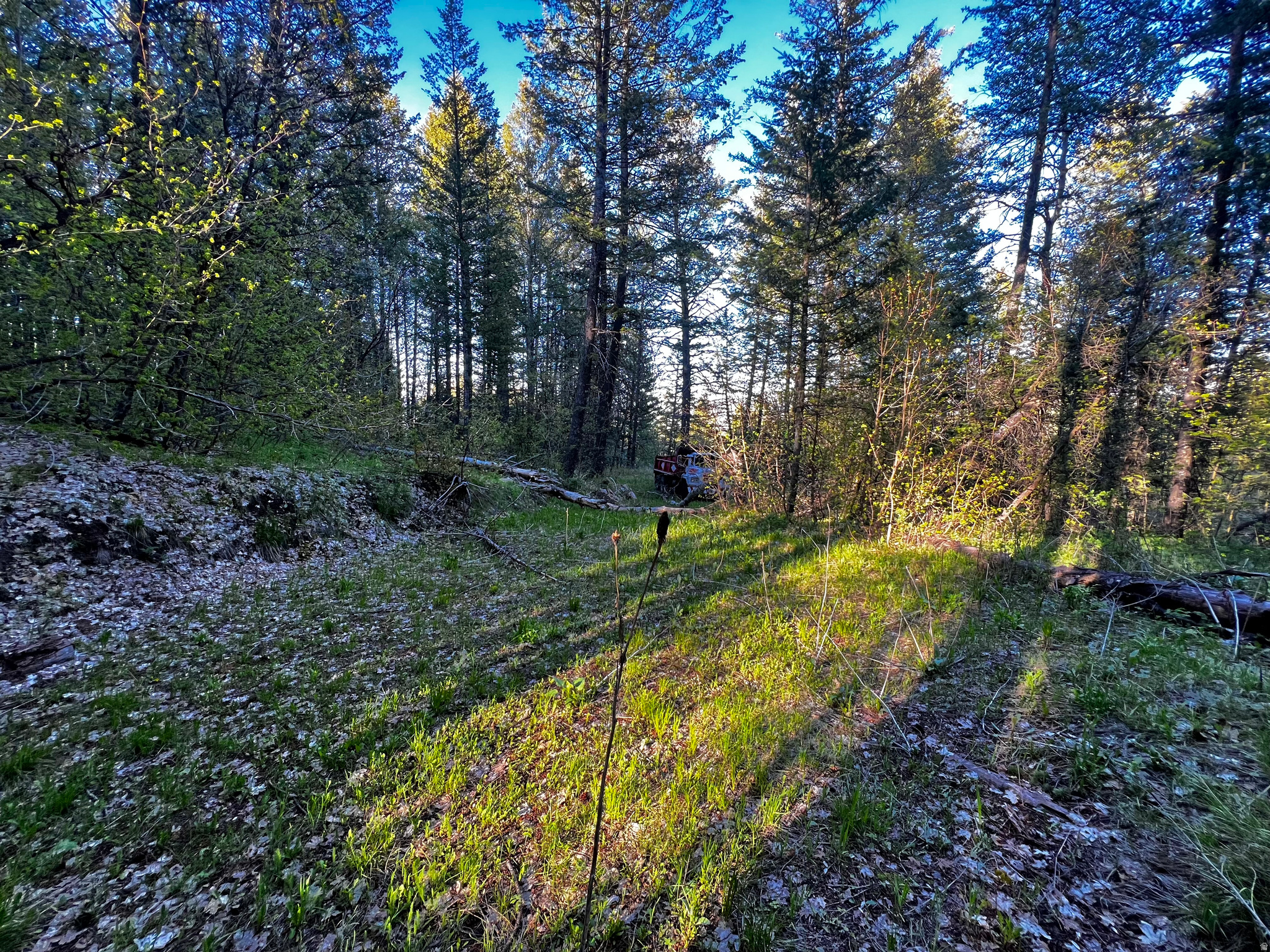 main property photo 10