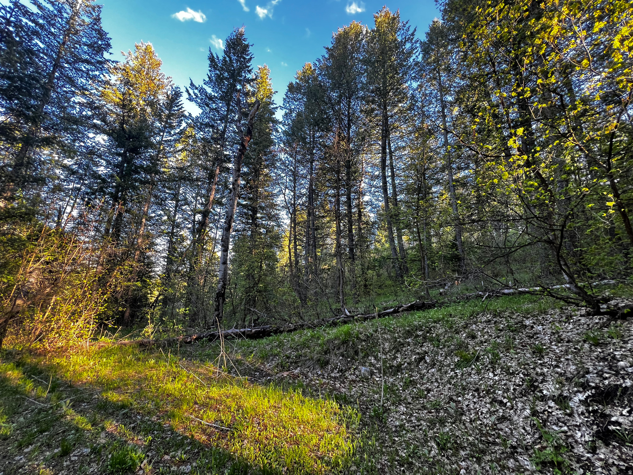 main property photo 11
