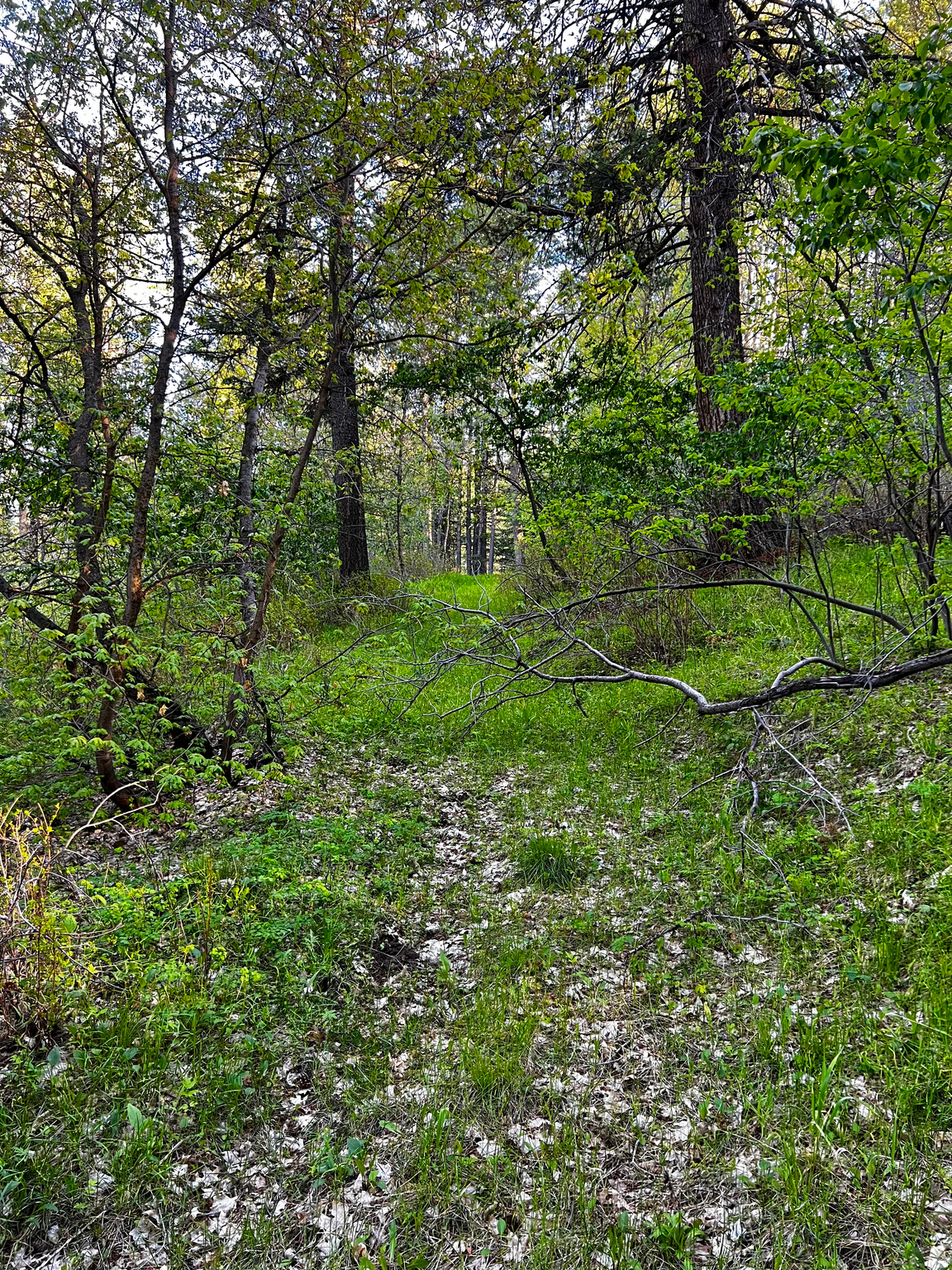 main property photo 12