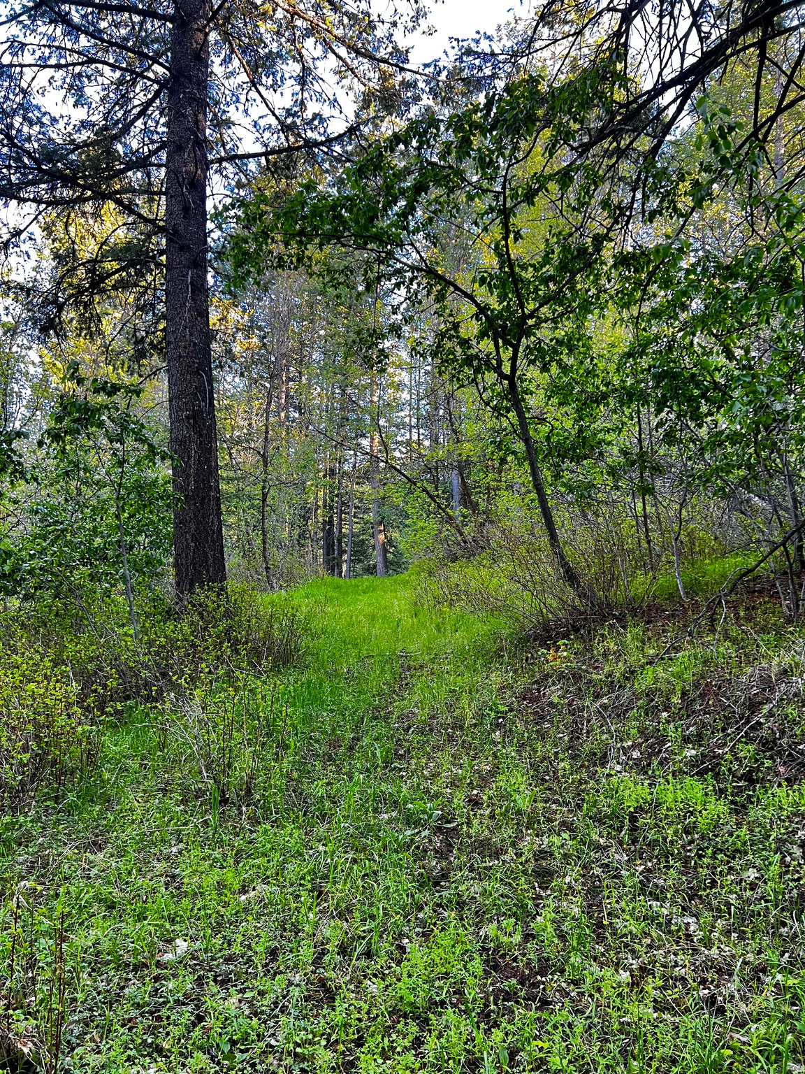 main property photo 14