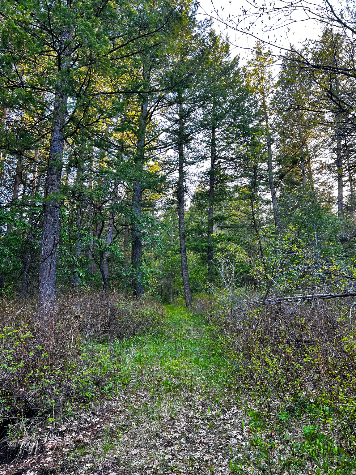 main property photo 15