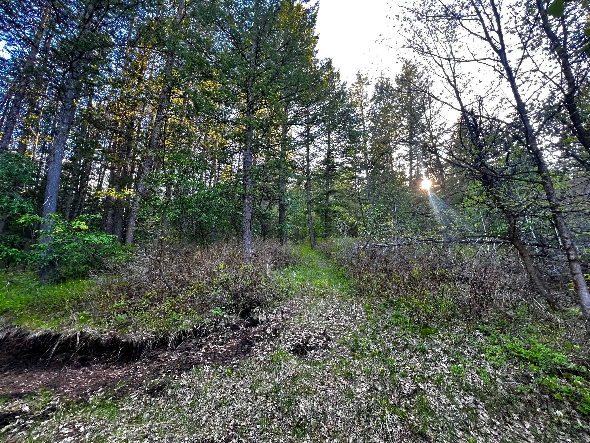 main property photo 16