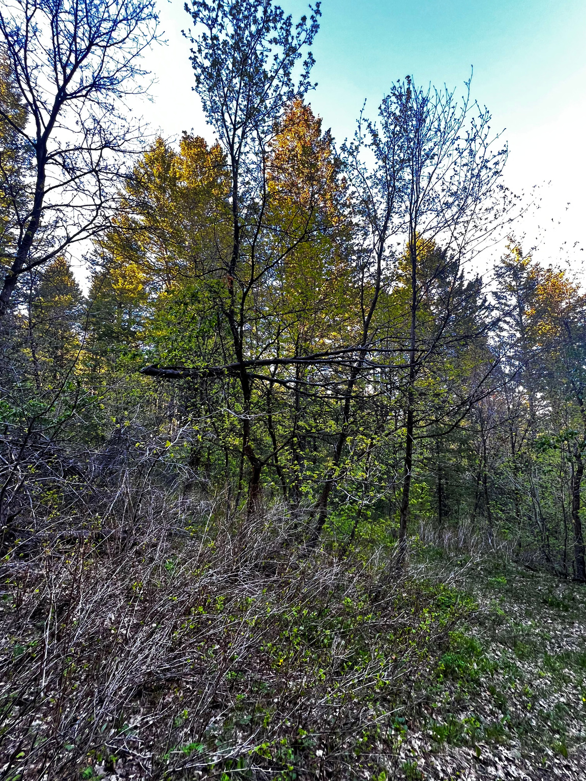 main property photo 17