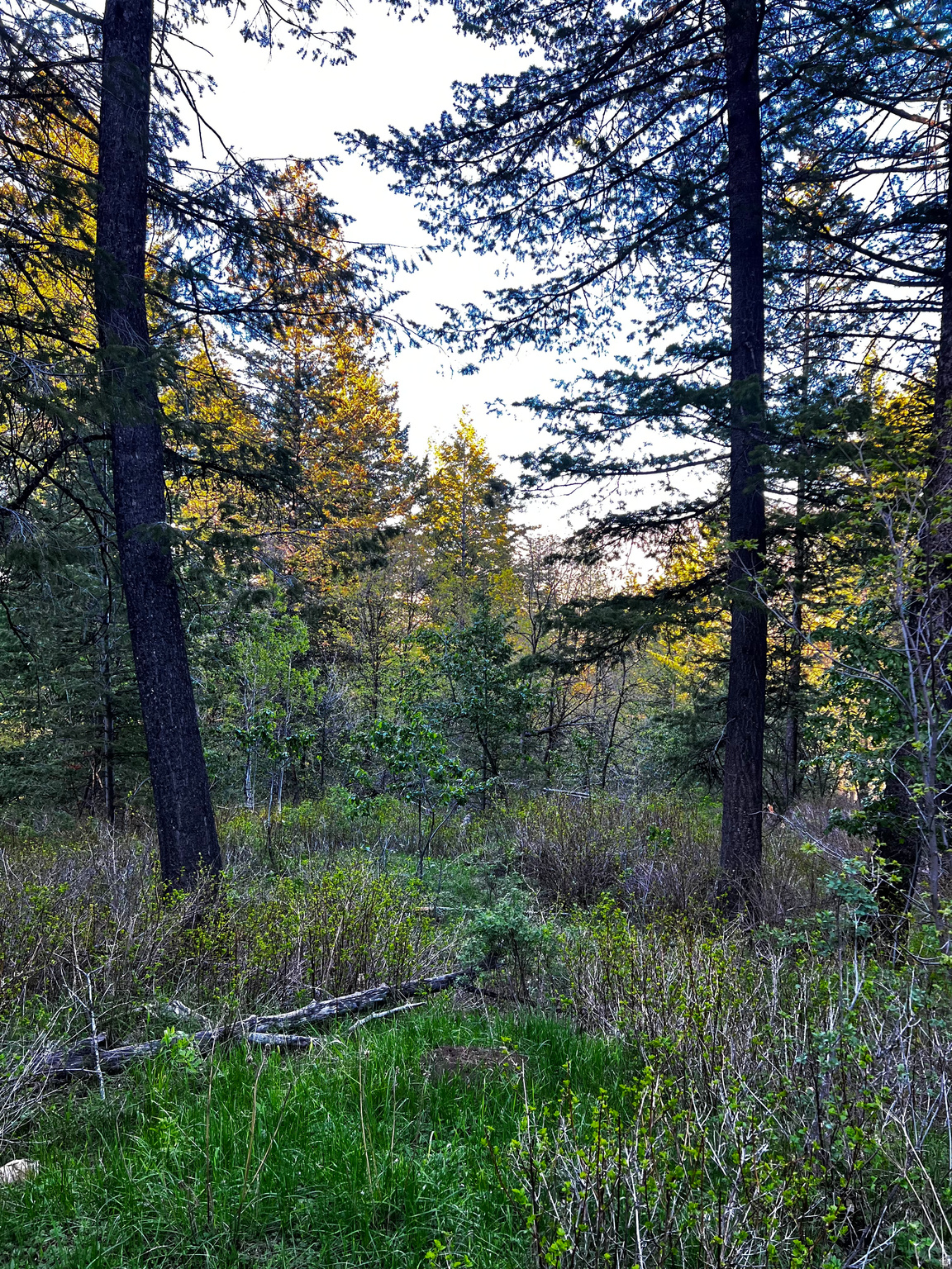 main property photo 18