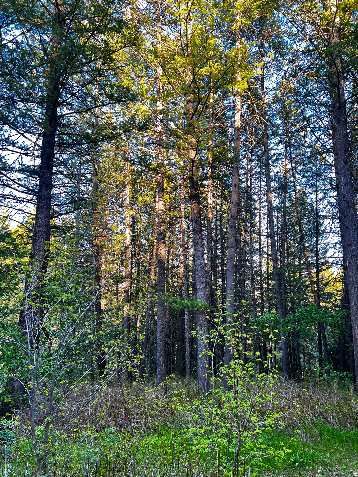 main property photo 19