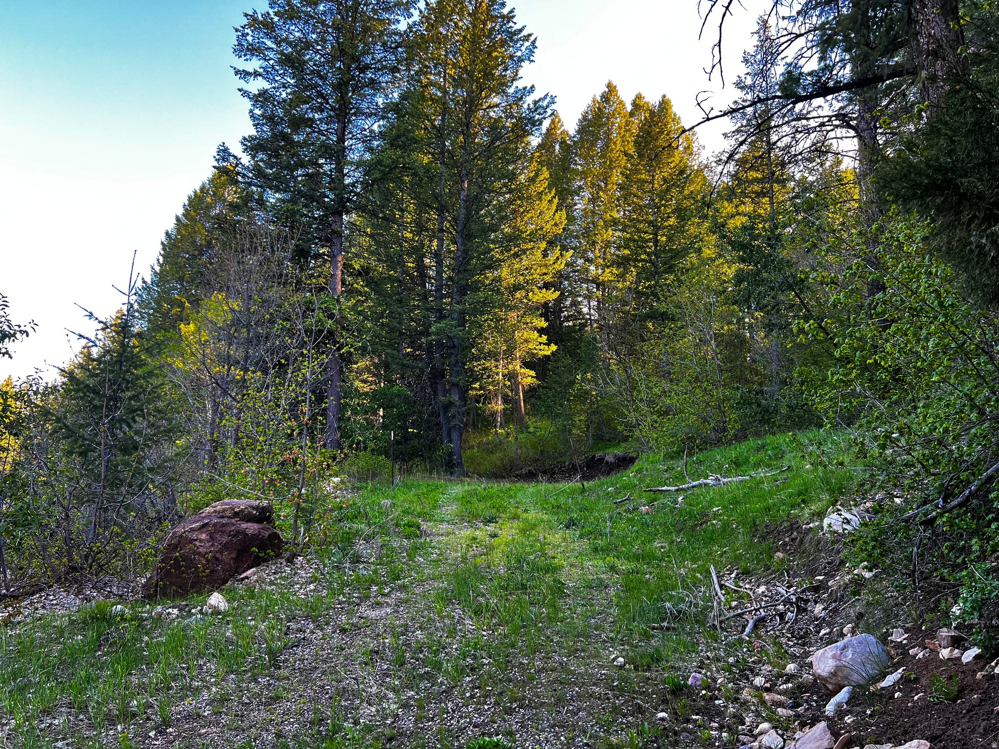 main property photo 2