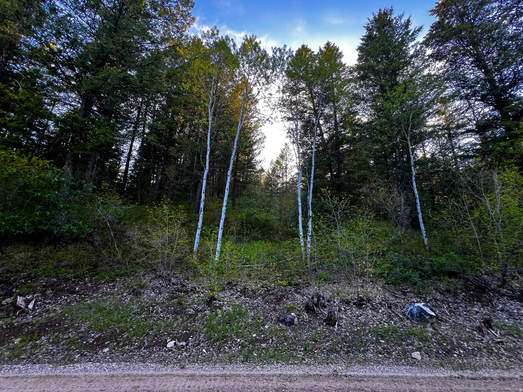 main property photo 21