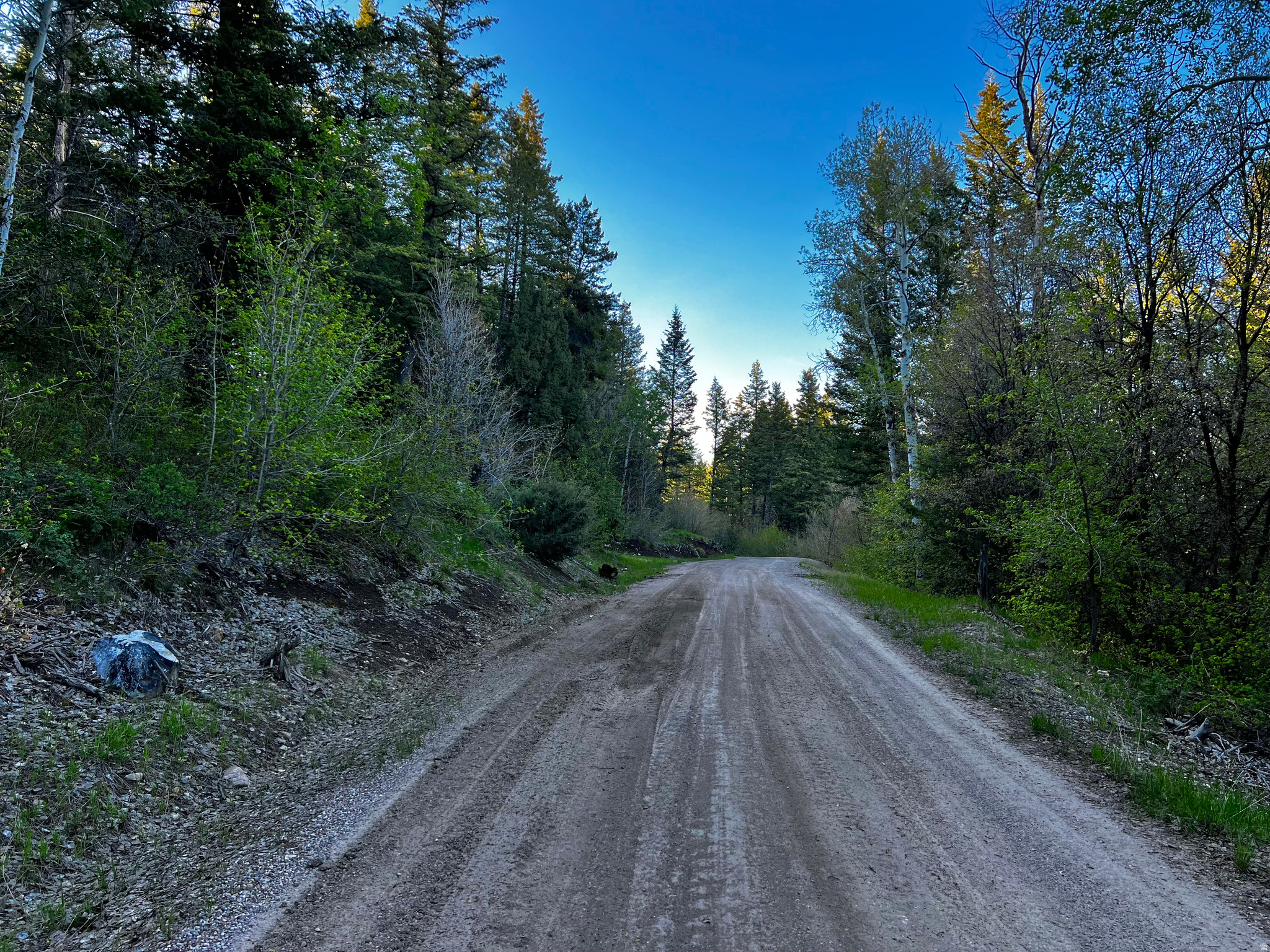 main property photo 22