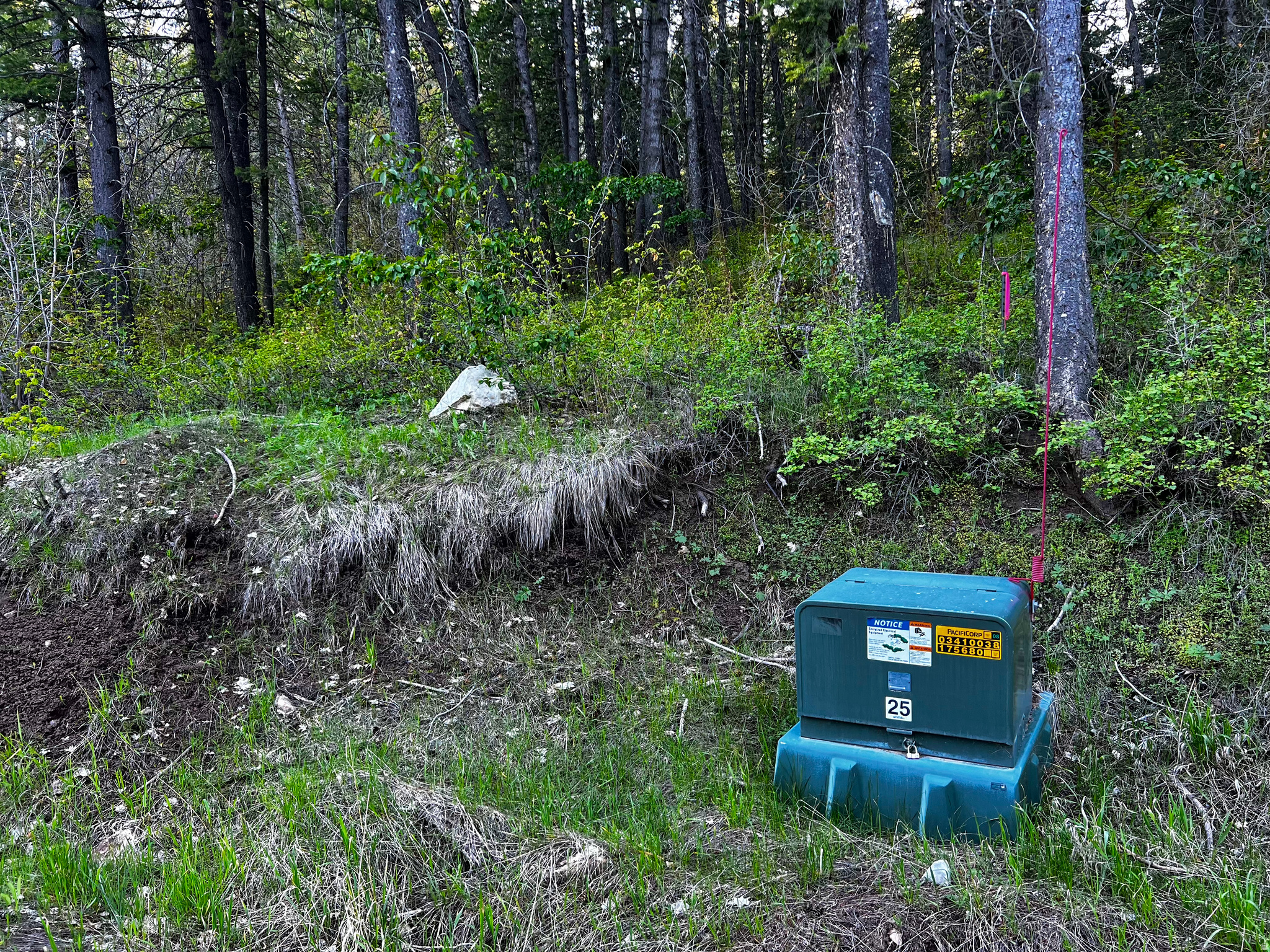 main property photo 24