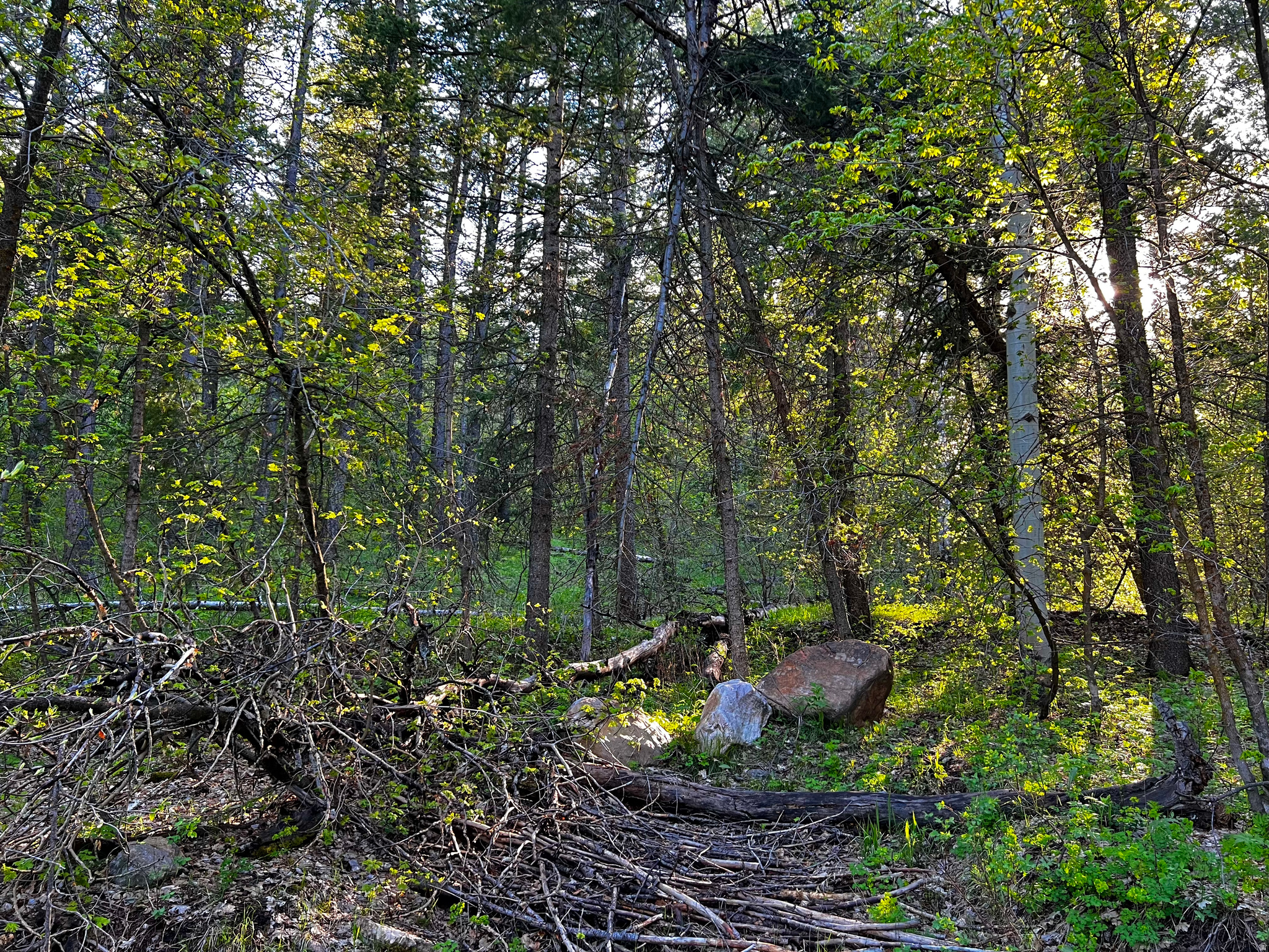 main property photo 5