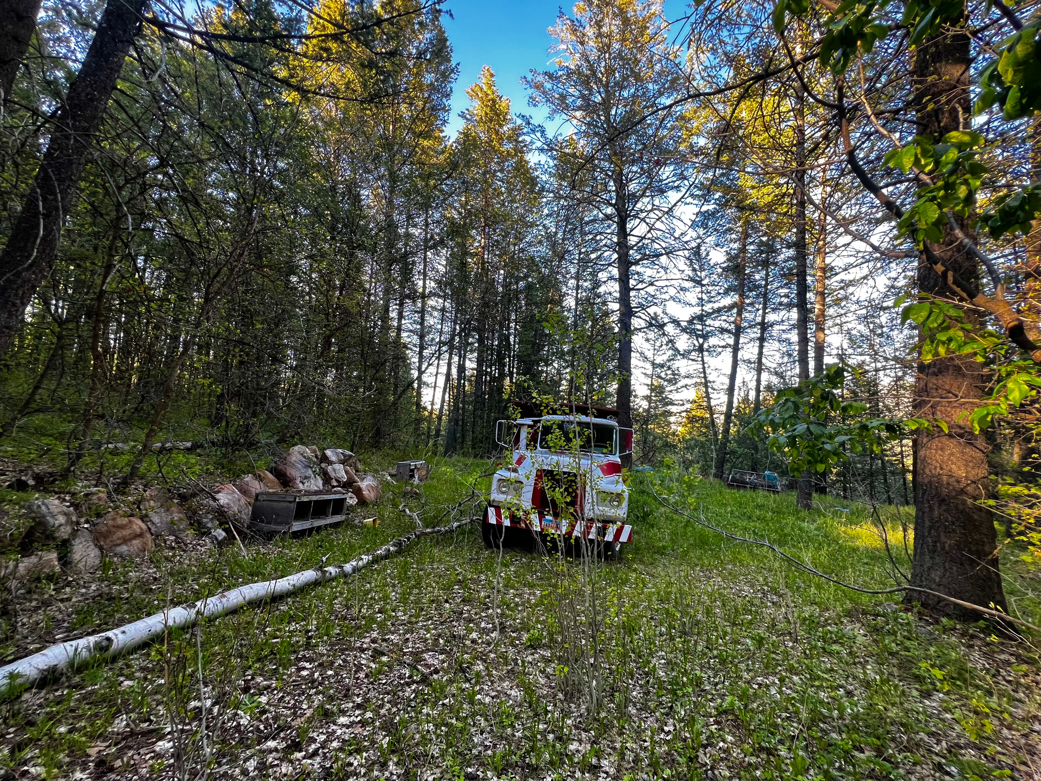 main property photo 6