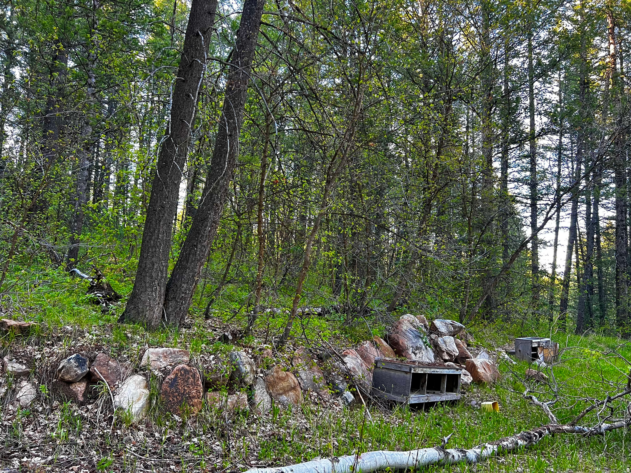 main property photo 7