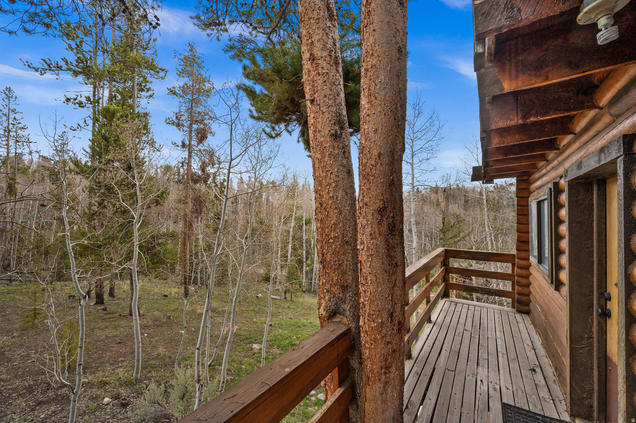 main property photo 32