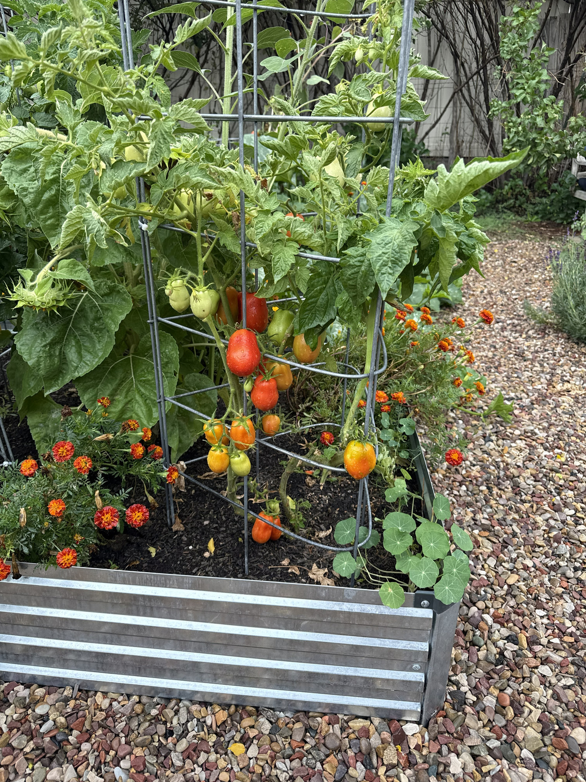 main property photo 24