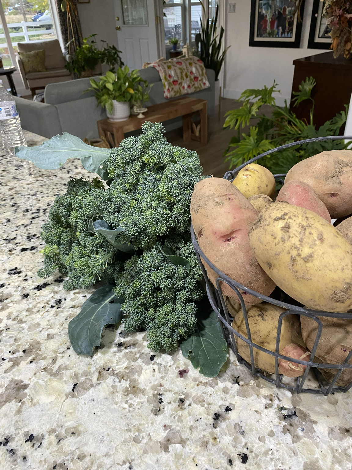 main property photo 43