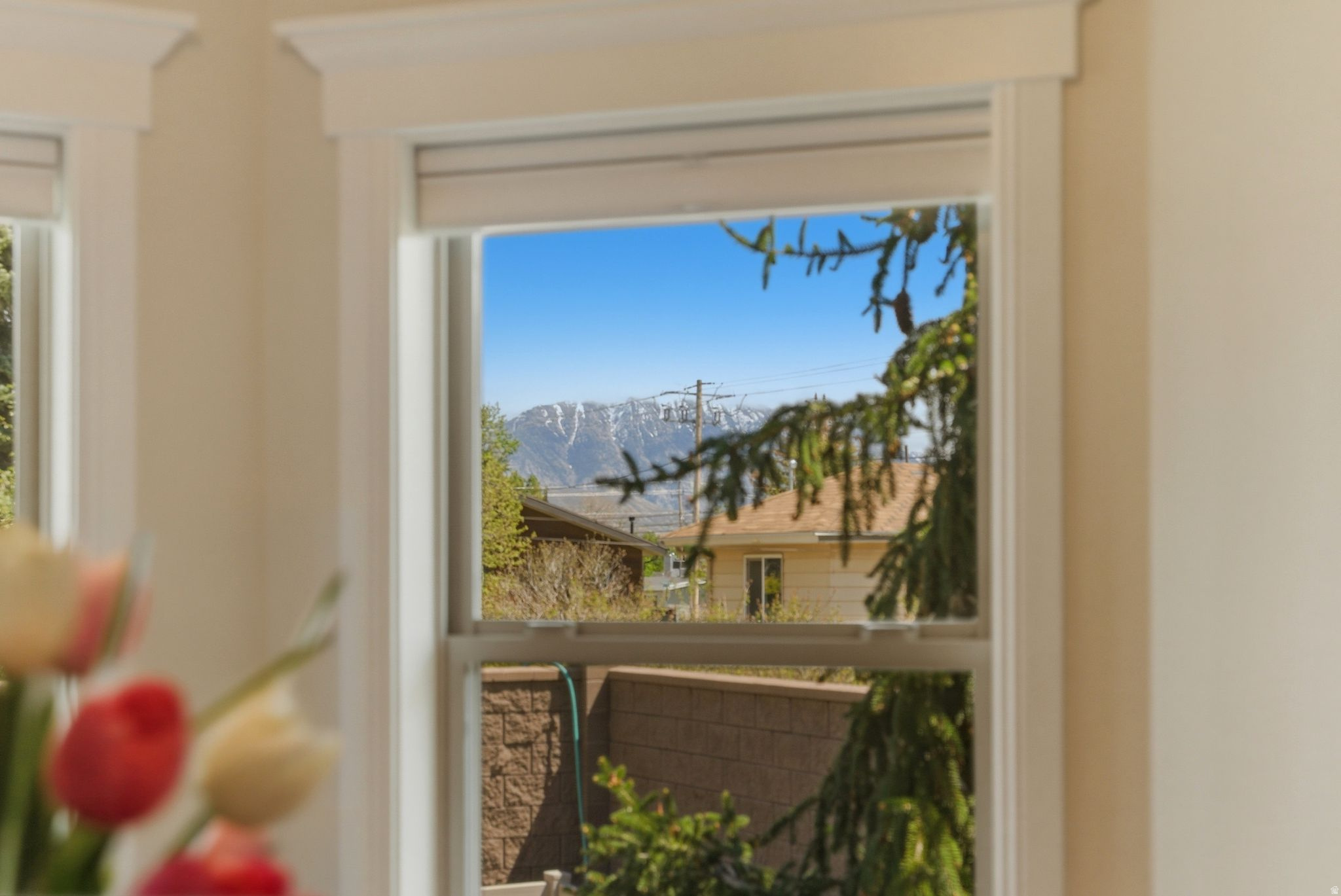main property photo 59