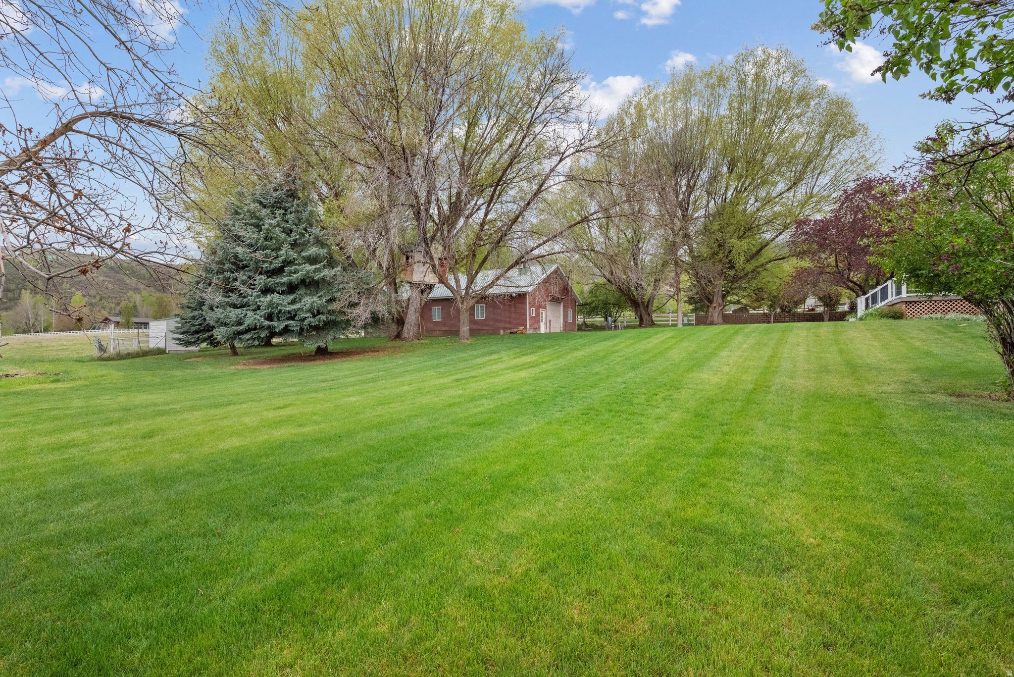 main property photo 54