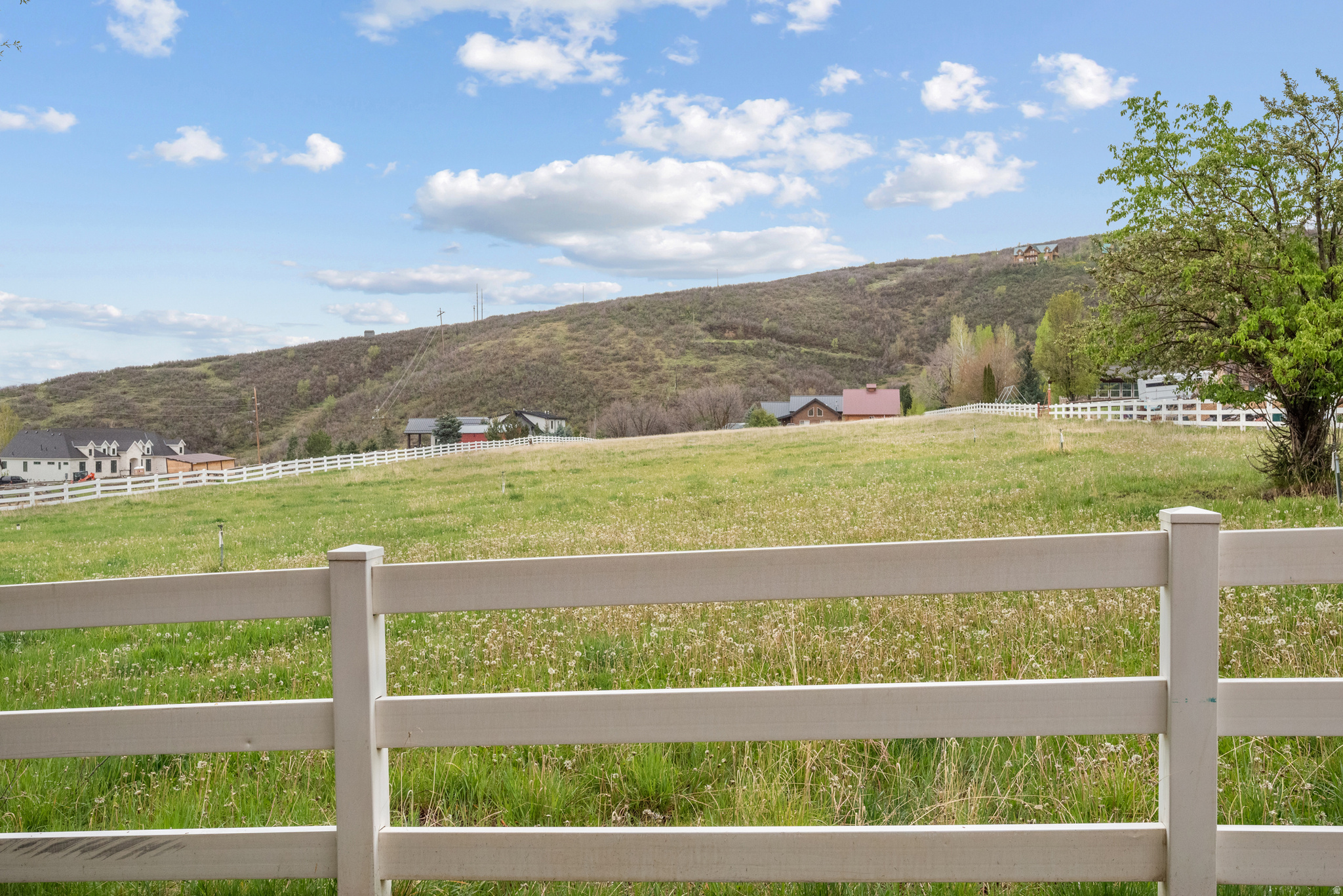 main property photo 57
