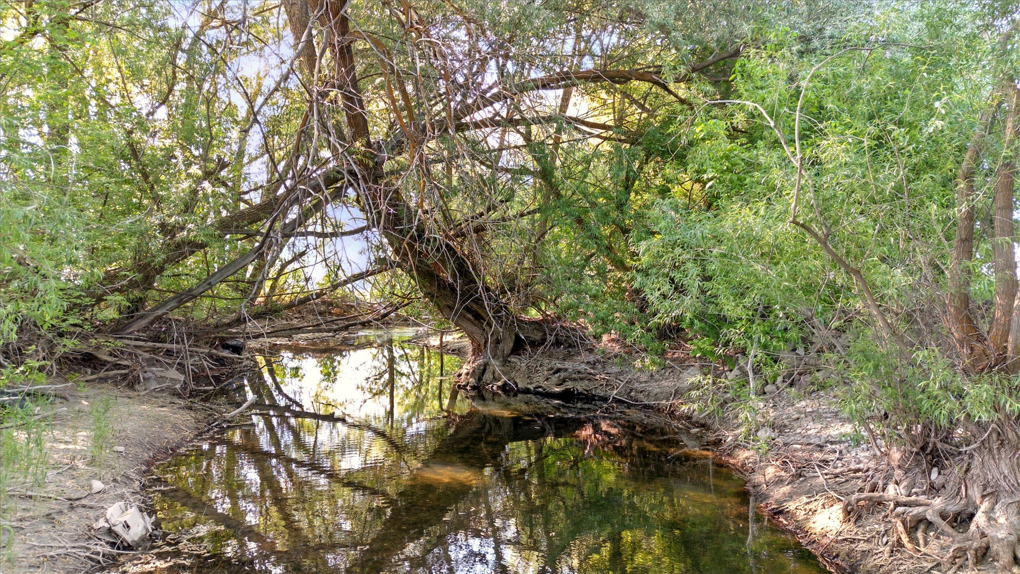 main property photo 14