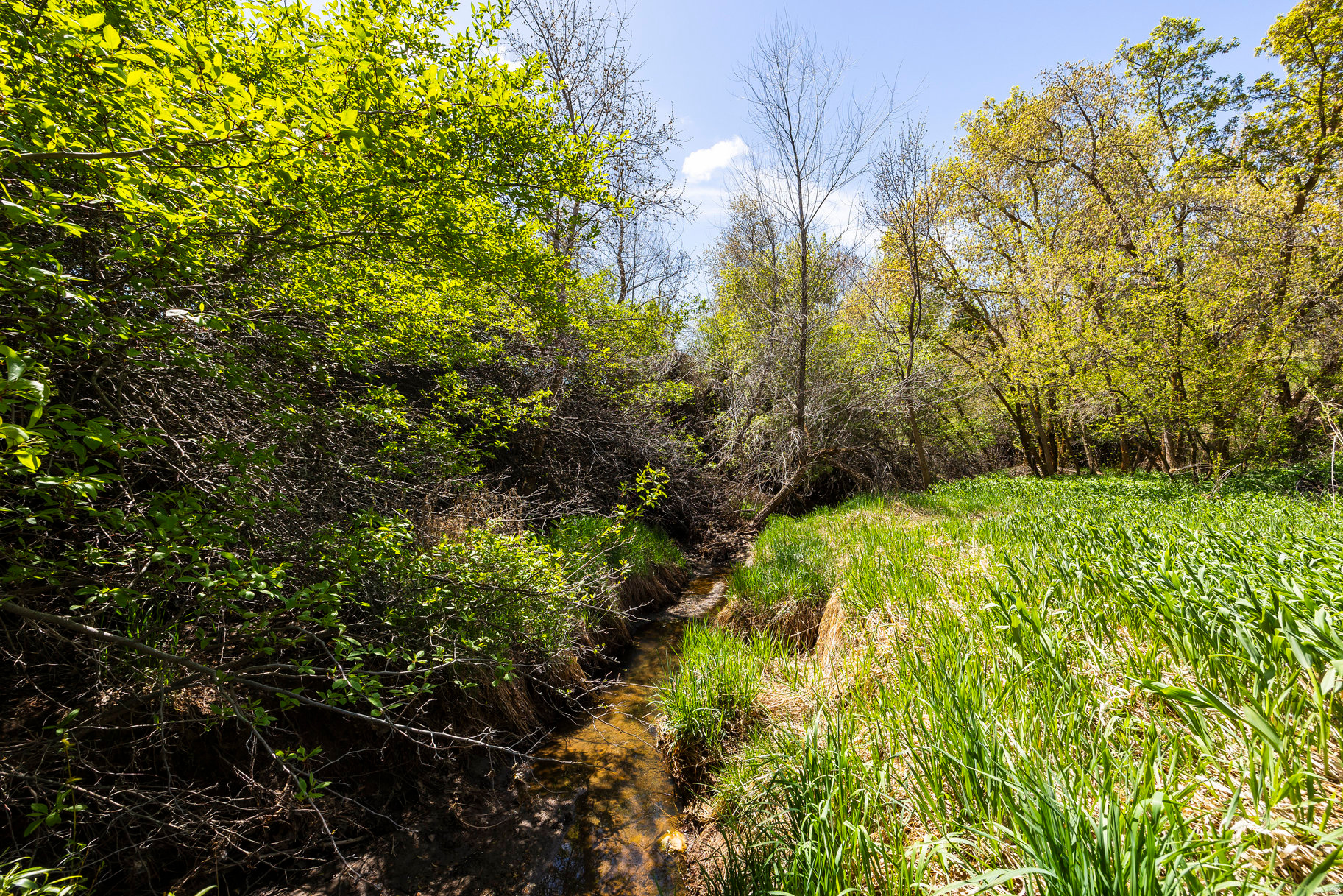 main property photo 14