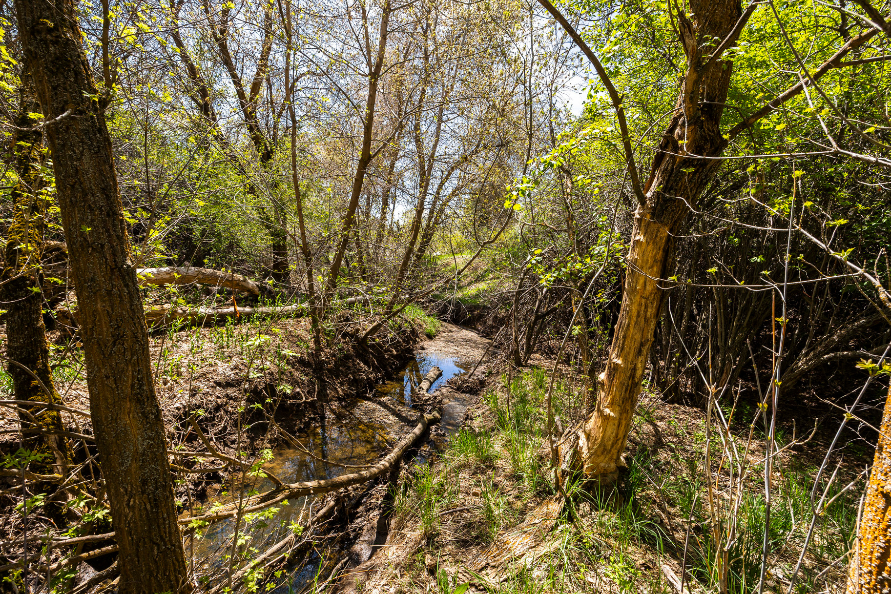main property photo 17