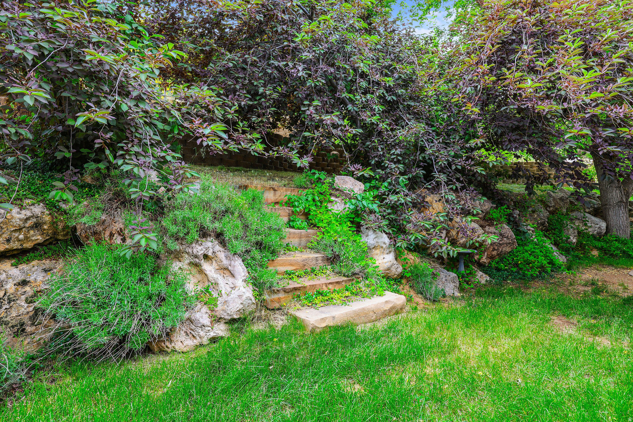 main property photo 41