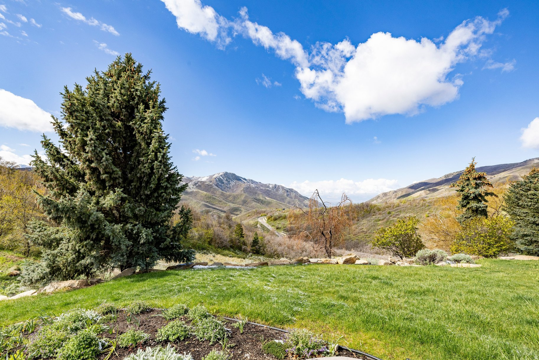 main property photo 61