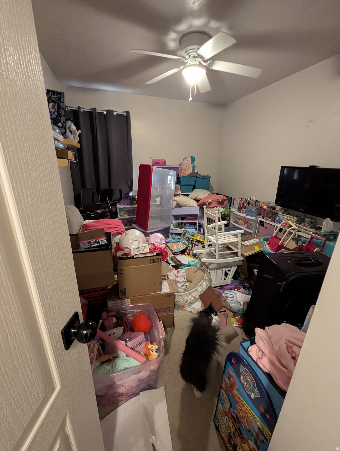 main property photo 4