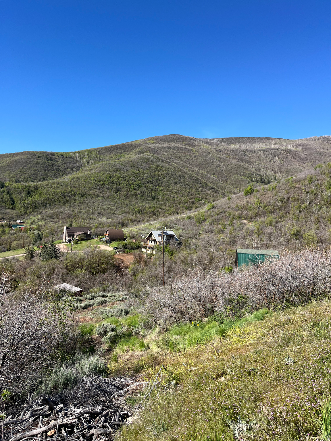 main property photo 11