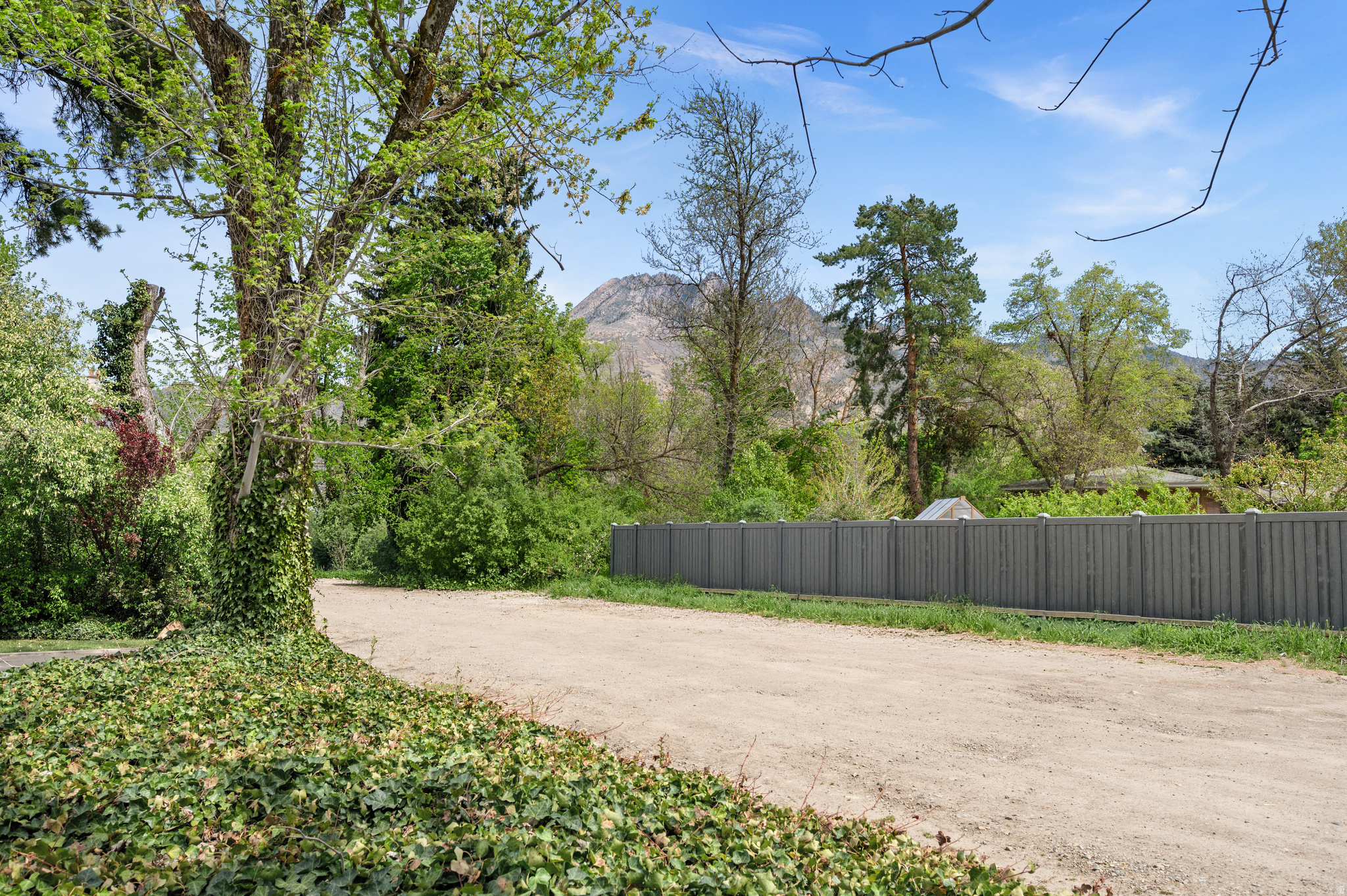 main property photo 54