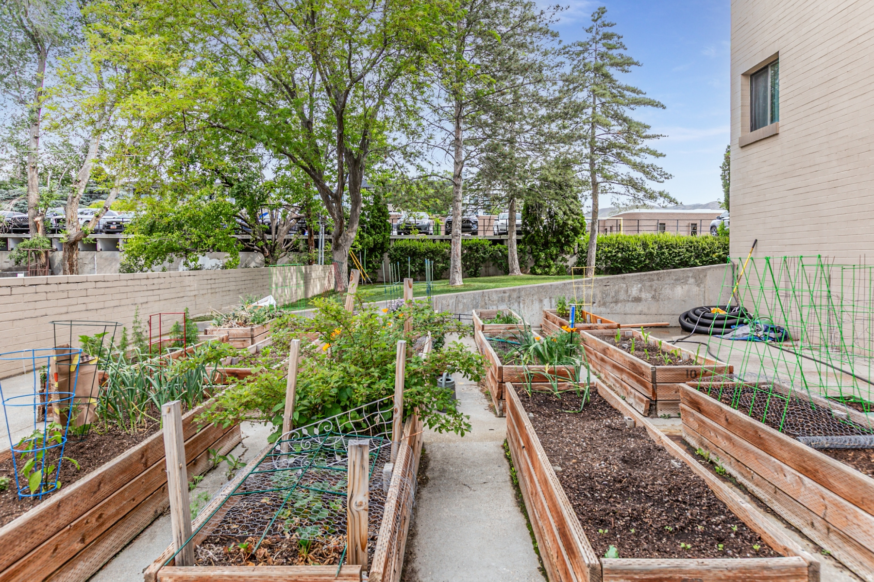 main property photo 33