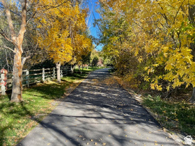 main property photo 69