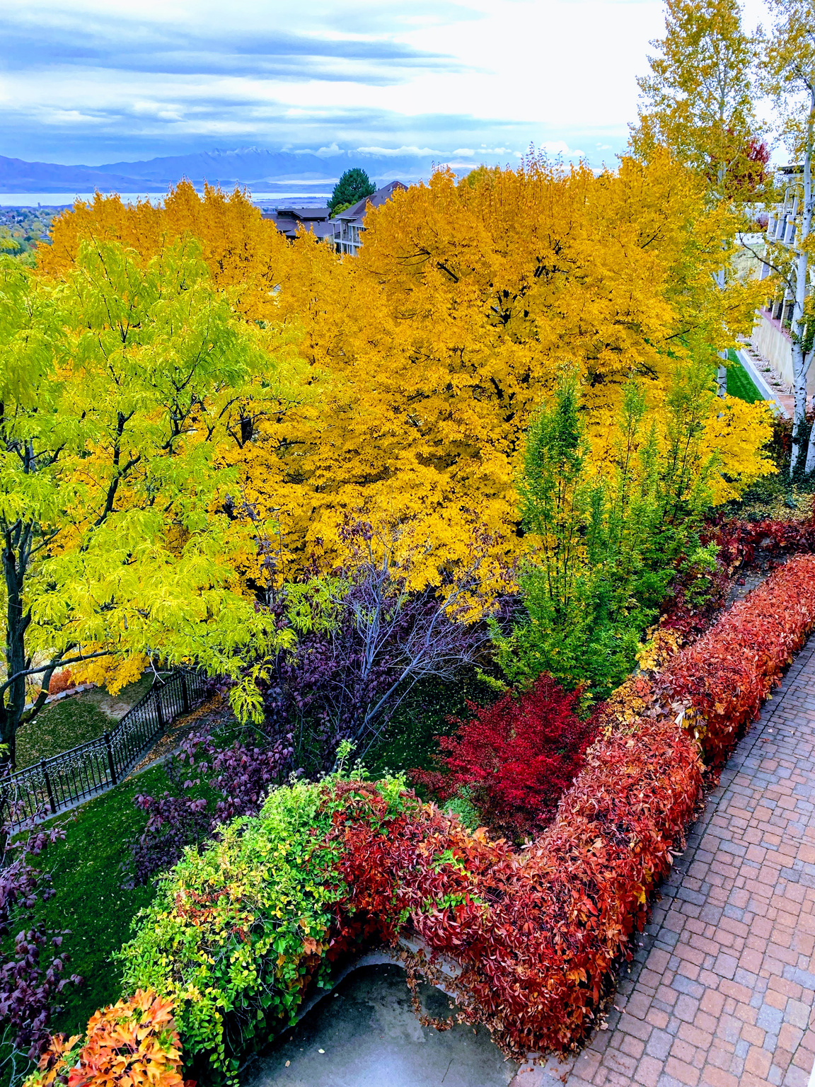 main property photo 68