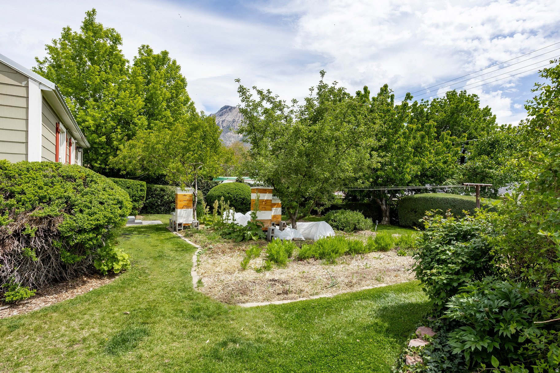 main property photo 64