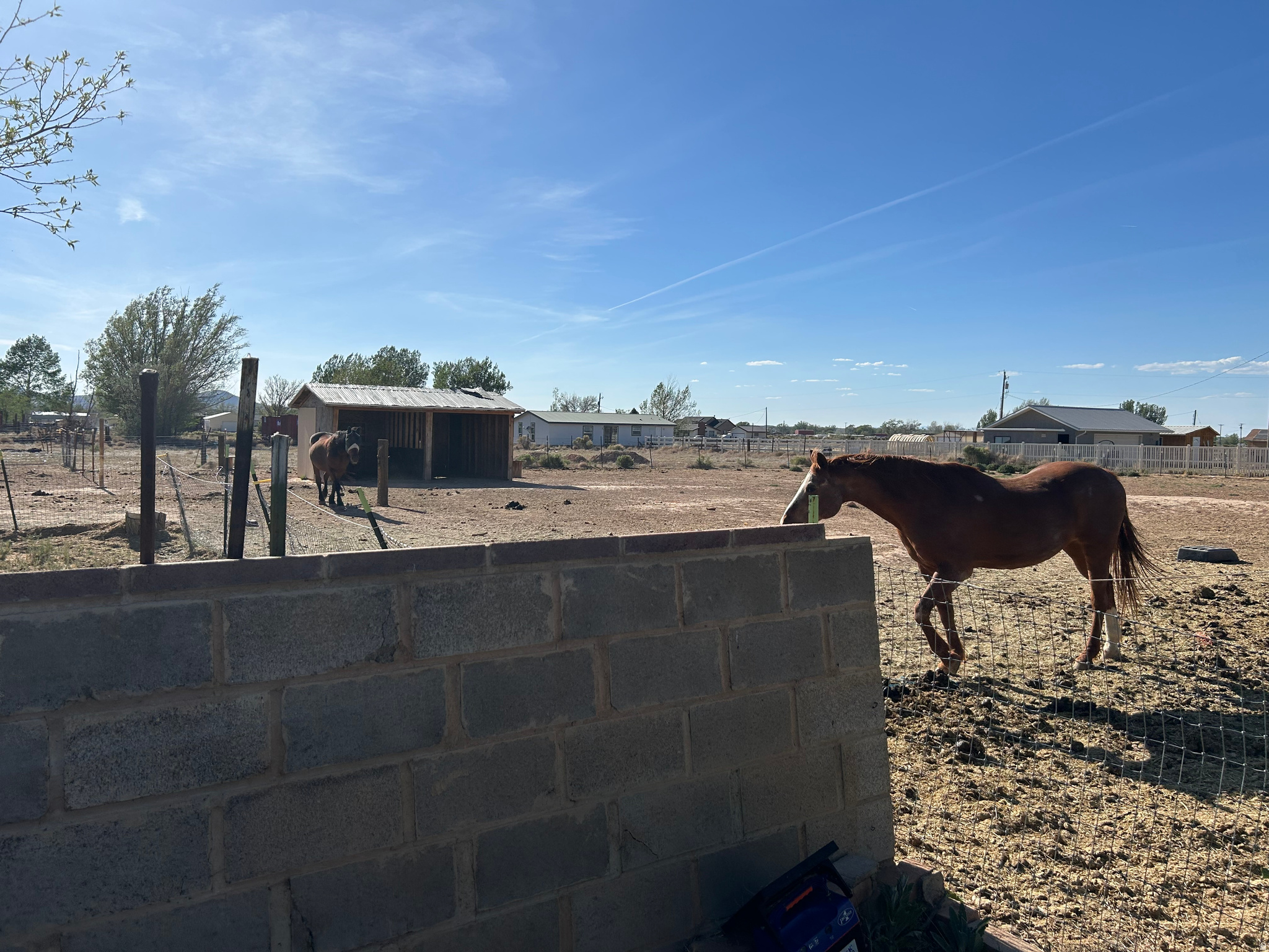 main property photo 17