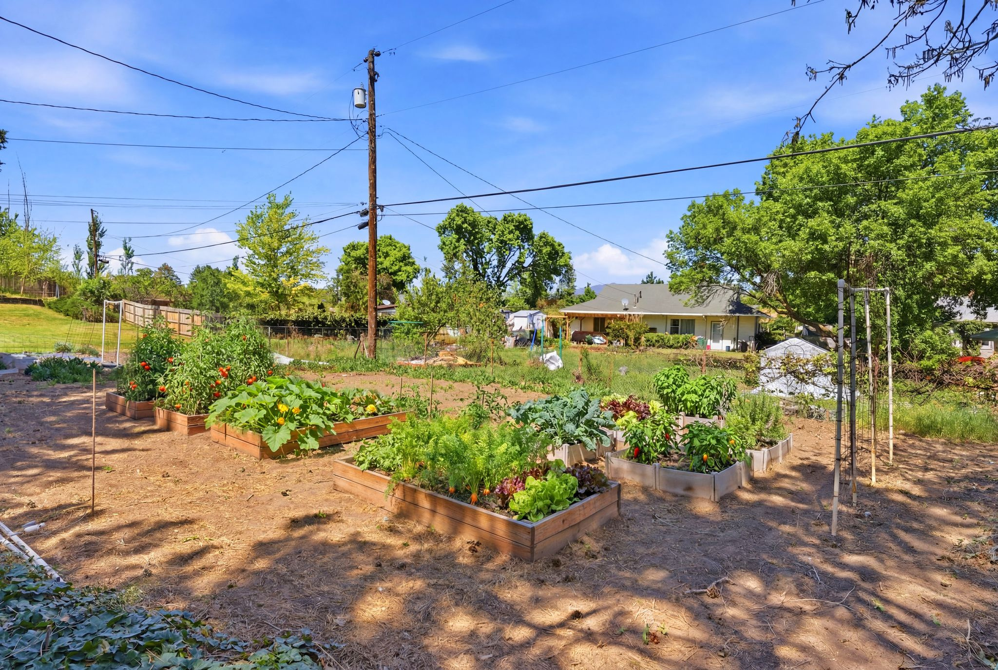 main property photo 64