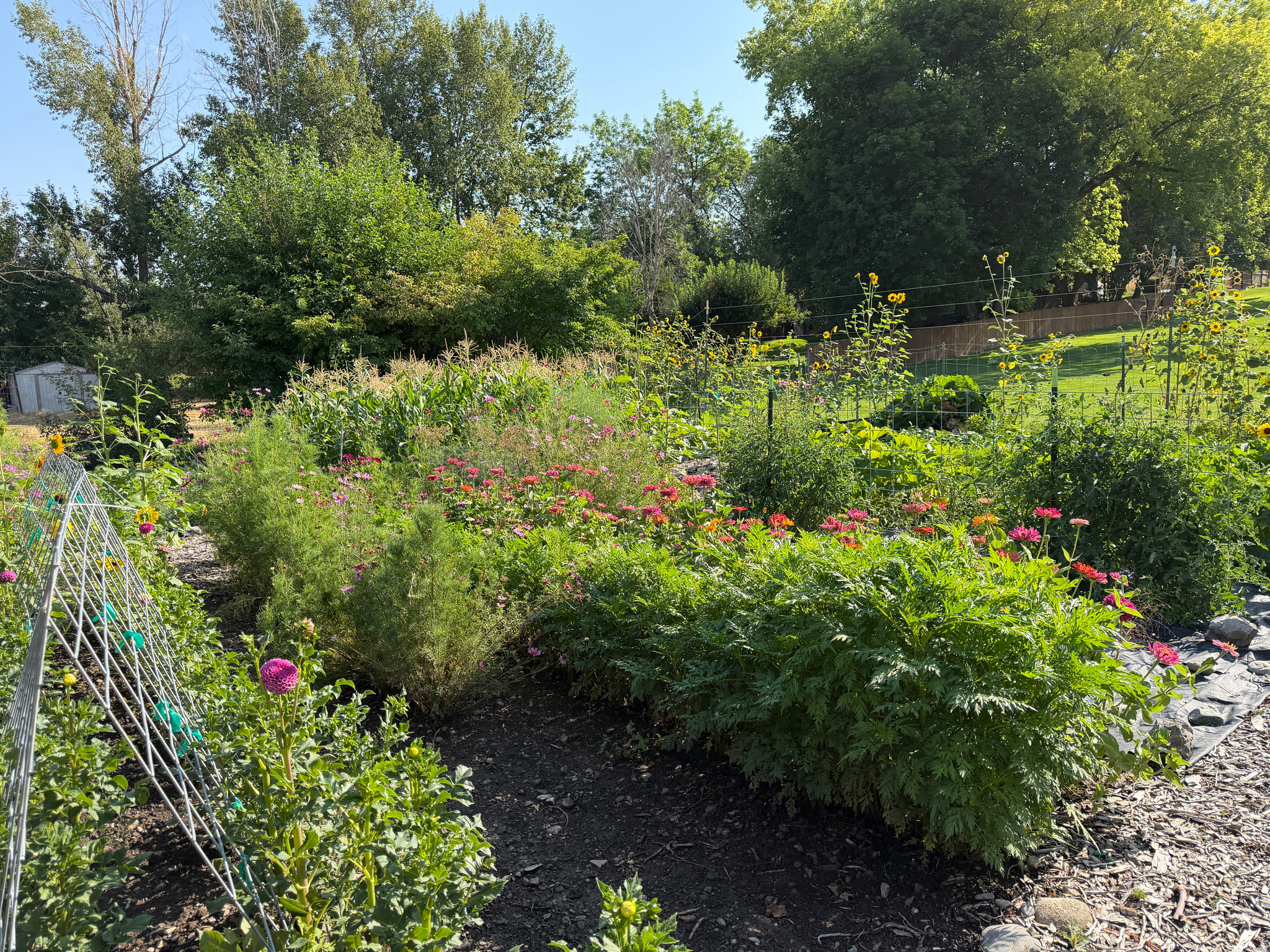 main property photo 40