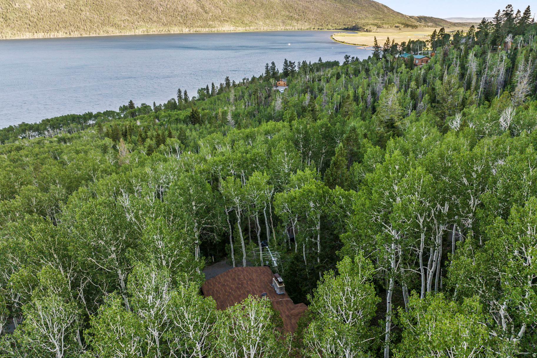 main property photo 36