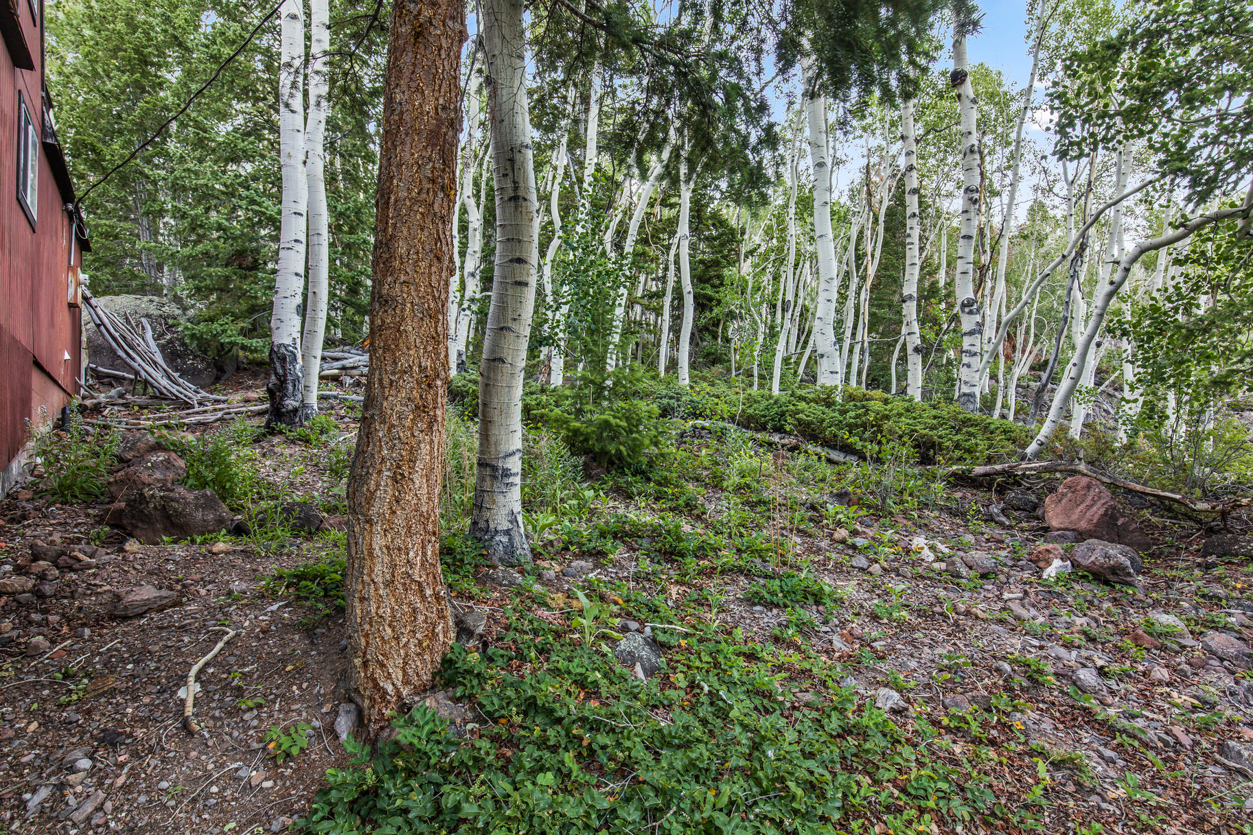 main property photo 42