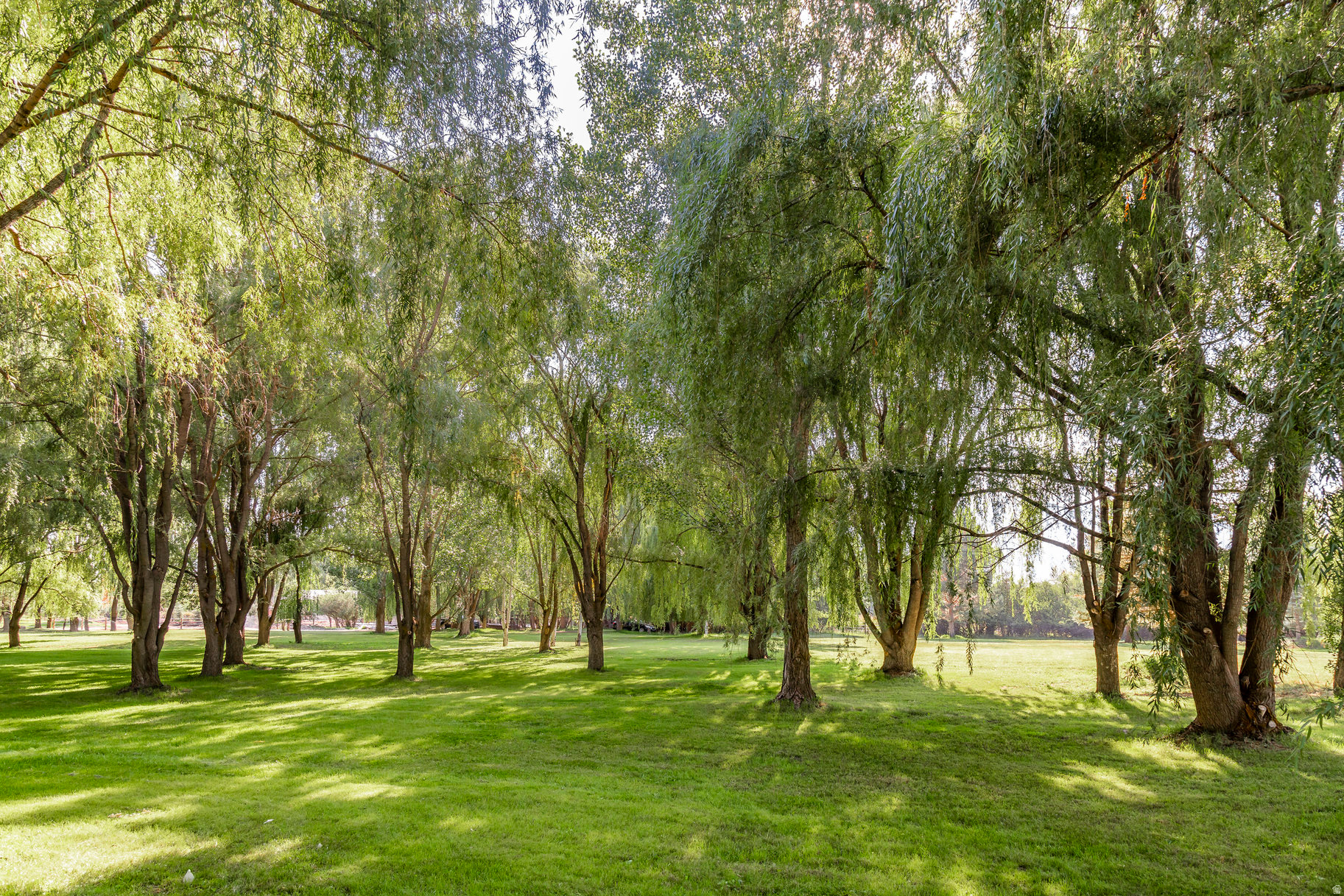 main property photo 64