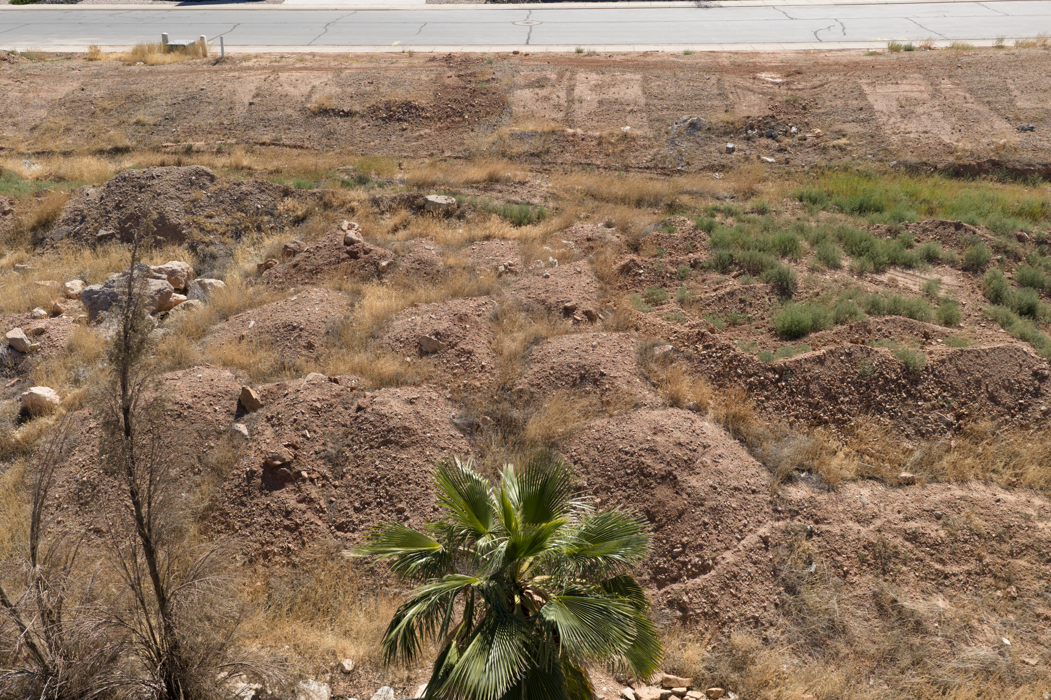 main property photo 4
