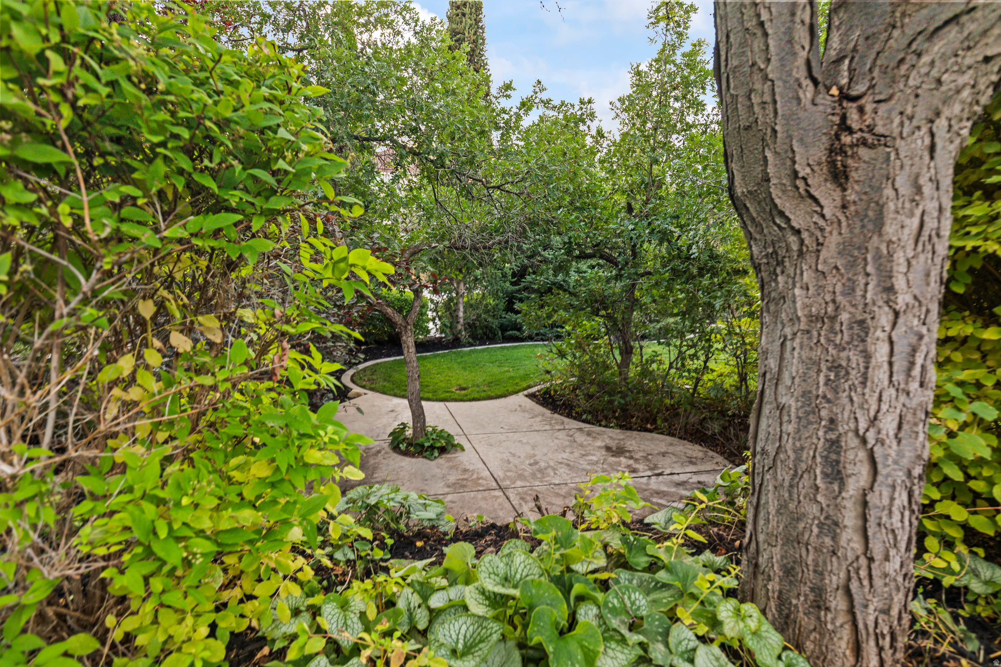 main property photo 147