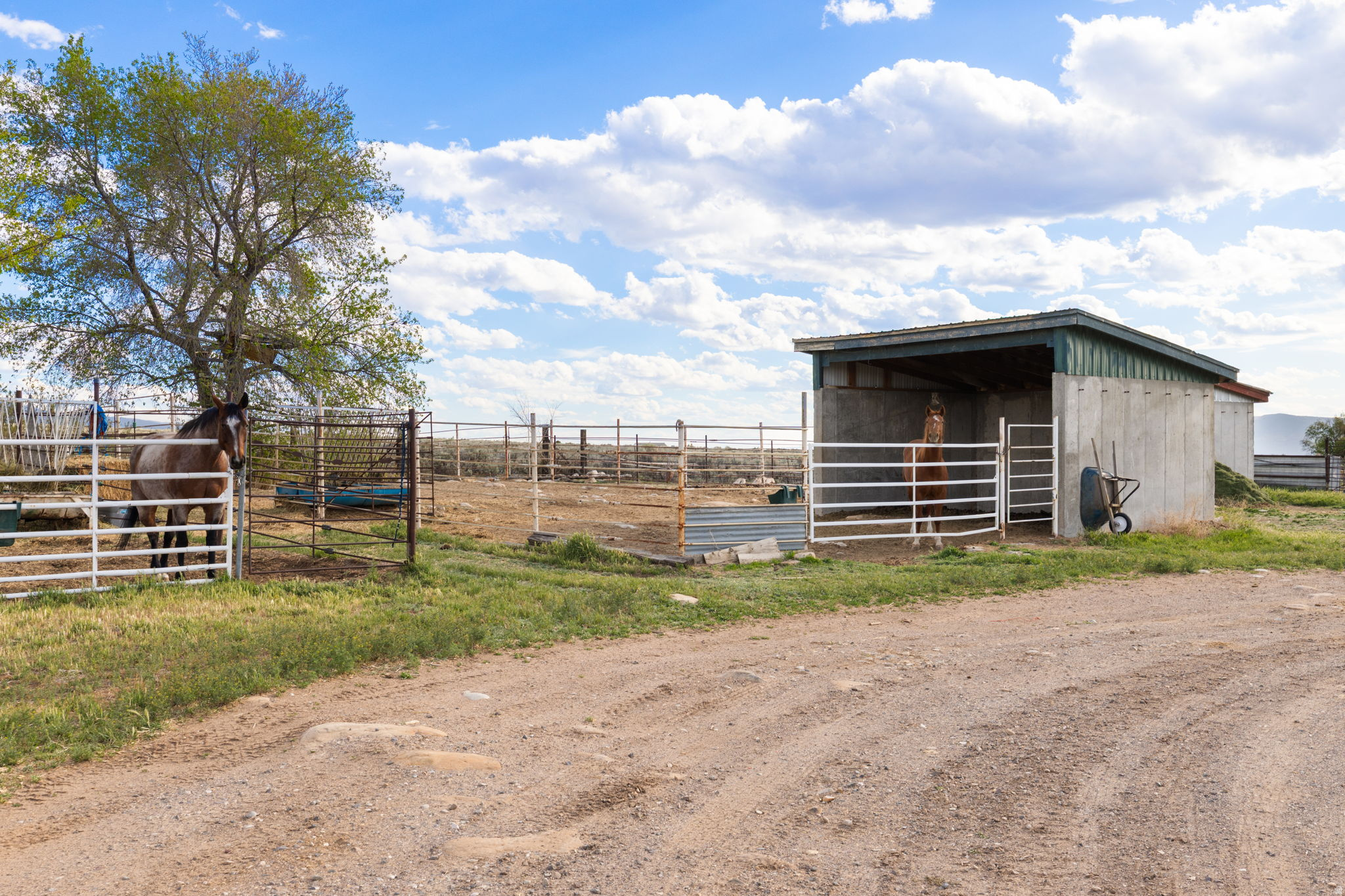 main property photo 62